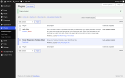 Page screenshot: Plugins &lsaquo; Test site &mdash; WordPress
