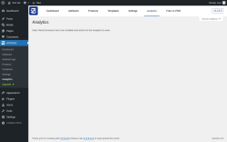 Page screenshot: STAGGS → Analytics