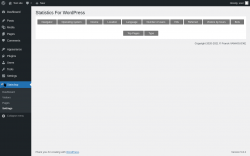 Page screenshot: Stats4wp &rarr; Settings