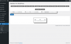 Page screenshot: Stats4wp &rarr; Pages