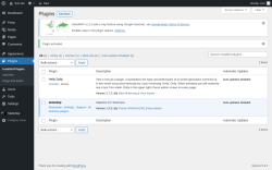 Page screenshot: Plugins &lsaquo; Test site &mdash; WordPress