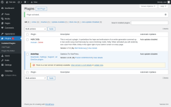 Page screenshot: Plugins &lsaquo; Test site &mdash; WordPress