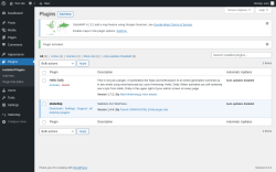 Page screenshot: Plugins &lsaquo; Test site &mdash; WordPress