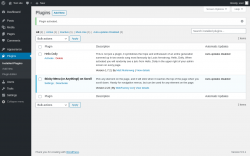 Page screenshot: Plugins &lsaquo; Test site &mdash; WordPress