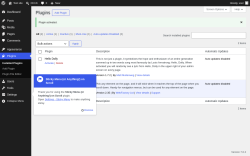 Page screenshot: Plugins &lsaquo; Test site &mdash; WordPress