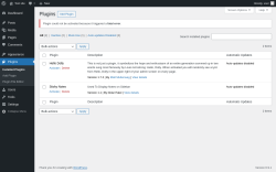 Page screenshot: Plugins &lsaquo; Test site &mdash; WordPress