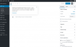 Page screenshot: Add New Post &lsaquo; Test site &mdash; WordPress