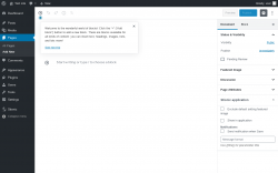 Page screenshot: Add New Page &lsaquo; Test site &mdash; WordPress