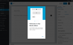 Page screenshot: Add New Page &lsaquo; Test site &mdash; WordPress