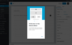 Page screenshot: Add New Post &lsaquo; Test site &mdash; WordPress