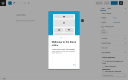 Page screenshot: Add New Page &lsaquo; Test site &mdash; WordPress