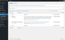 Page screenshot: Plugins &lsaquo; Test site &mdash; WordPress