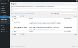 Page screenshot: Plugins &lsaquo; Test site &mdash; WordPress