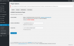 Page screenshot: StockUnlocks → Plugin Options