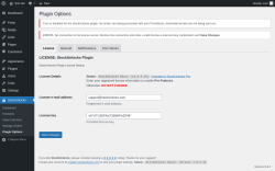 Page screenshot: StockUnlocks → Plugin Options