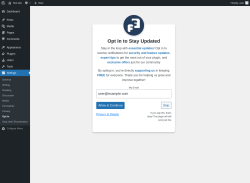 Page screenshot: Settings → Opt In 