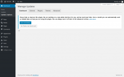Page screenshot: Dashboard &rarr; Updates Options