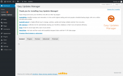 Page screenshot: Dashboard &rarr; Updates Options