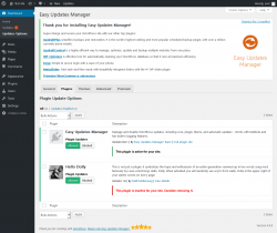 Page screenshot: Dashboard &rarr; Updates Options &rarr; Plugins