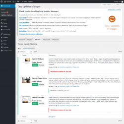 Page screenshot: Dashboard &rarr; Updates Options &rarr; Themes