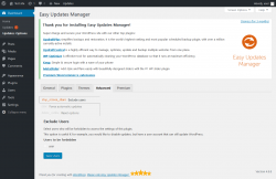 Page screenshot: Dashboard &rarr; Updates Options &rarr; Advanced