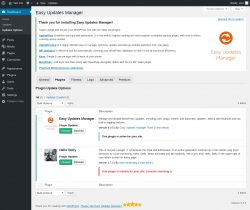 Page screenshot: Dashboard &rarr; Updates Options &rarr; Plugins