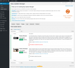 Page screenshot: Dashboard &rarr; Updates Options &rarr; Themes