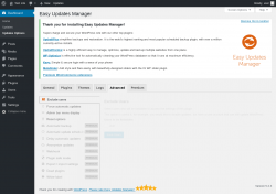 Page screenshot: Dashboard &rarr; Updates Options &rarr; Advanced
