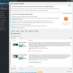 Page screenshot: Dashboard &rarr; Updates Options &rarr; Themes