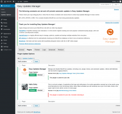 Page screenshot: Dashboard &rarr; Updates Options &rarr; Plugins
