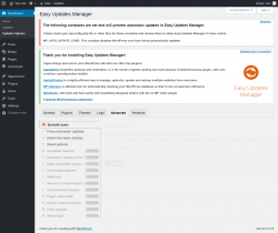 Page screenshot: Dashboard &rarr; Updates Options &rarr; Advanced