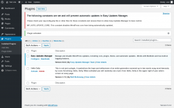 Page screenshot: Plugins &lsaquo; Test site &mdash; WordPress