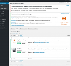 Page screenshot: Dashboard &rarr; Updates Options &rarr; Plugins