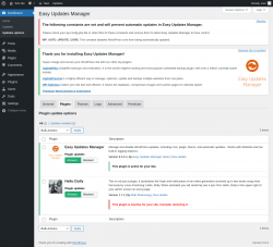 Page screenshot: Dashboard &rarr; Updates options &rarr; Plugins