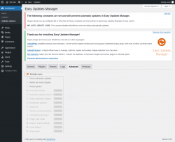 Page screenshot: Dashboard &rarr; Updates options &rarr; Advanced