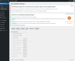 Page screenshot: Dashboard &rarr; Updates options &rarr; Advanced