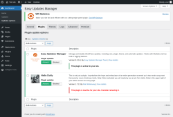 Page screenshot: Dashboard &rarr; Updates options &rarr; Plugins