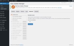 Page screenshot: Dashboard &rarr; Updates options &rarr; Advanced