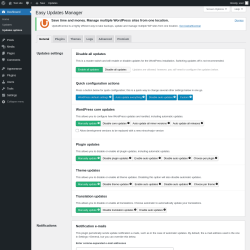 Page screenshot: Dashboard &rarr; Updates options