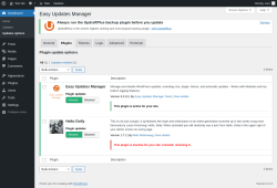 Page screenshot: Dashboard &rarr; Updates options &rarr; Plugins