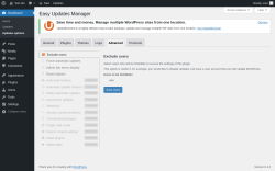 Page screenshot: Dashboard &rarr; Updates options &rarr; Advanced