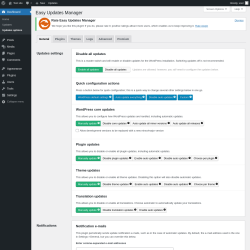 Page screenshot: Dashboard &rarr; Updates options