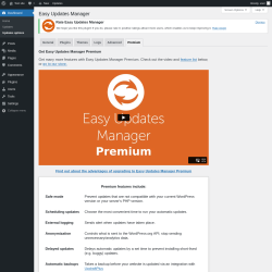 Page screenshot: Dashboard &rarr; Updates options &rarr; Premium
