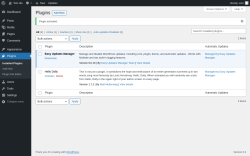 Page screenshot: Plugins &lsaquo; Test site &mdash; WordPress