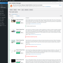 Page screenshot: Dashboard &rarr; Updates options &rarr; Themes