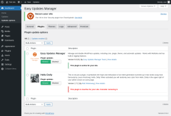Page screenshot: Dashboard &rarr; Updates options &rarr; Plugins
