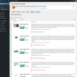 Page screenshot: Dashboard &rarr; Updates options &rarr; Themes