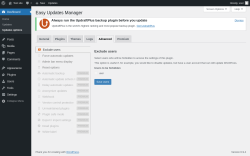 Page screenshot: Dashboard &rarr; Updates options &rarr; Advanced
