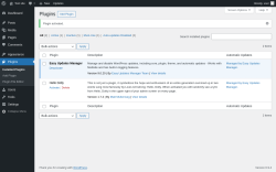 Page screenshot: Plugins &lsaquo; Test site &mdash; WordPress
