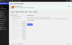 Page screenshot: Dashboard &rarr; Updates options &rarr; Advanced